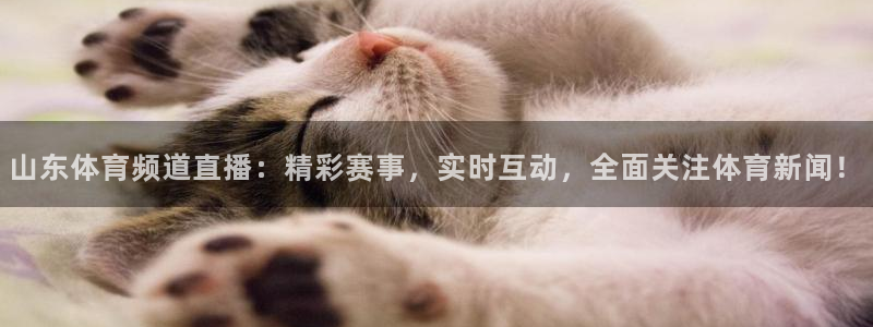 蓝鲸直播体育app下载：山东体育频道直播：精彩赛事，实时互动，全面关注体育新闻！