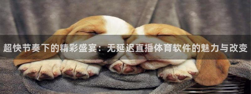 蓝鲸直播体育appv3.新地址.org：超快节奏下的精彩盛宴：无延迟直播体育软件的魅力与改变