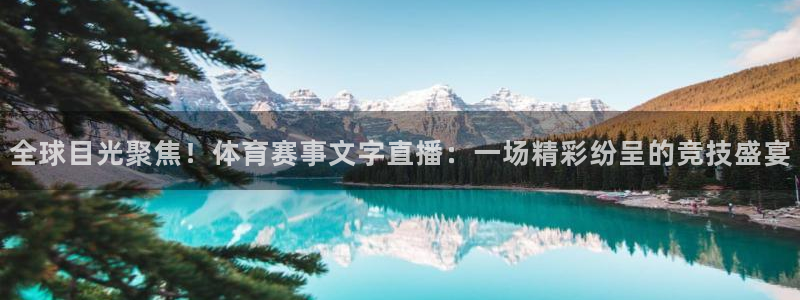 蓝鲸体育直播电脑版：全球目光聚焦！体育赛事文字直播：一场精彩纷呈的竞技盛宴