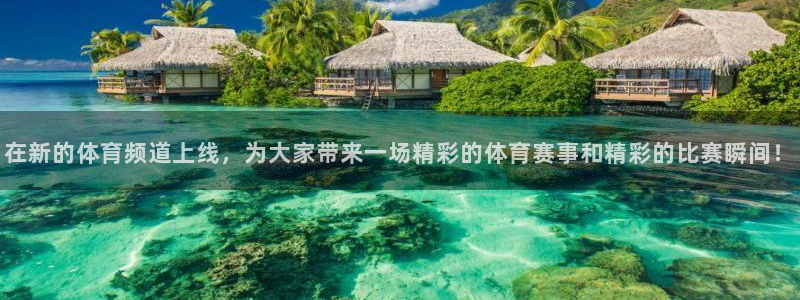 蓝鲸视频实拍