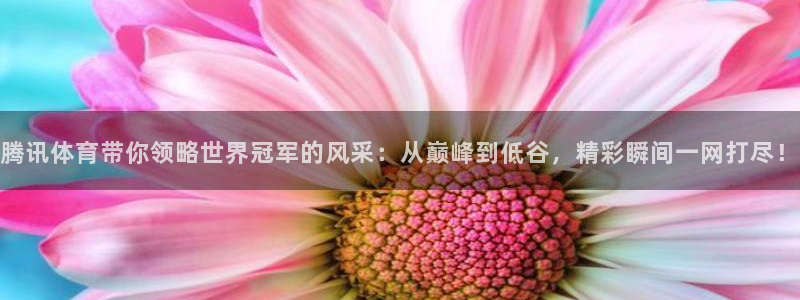 蓝鲸体育奥运会直播