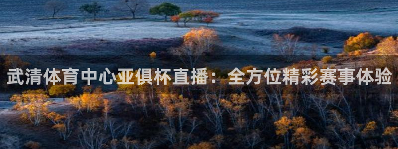 蓝鲸直播体育赛事：武清体育中心亚俱杯直播：全方位精彩赛事体验
