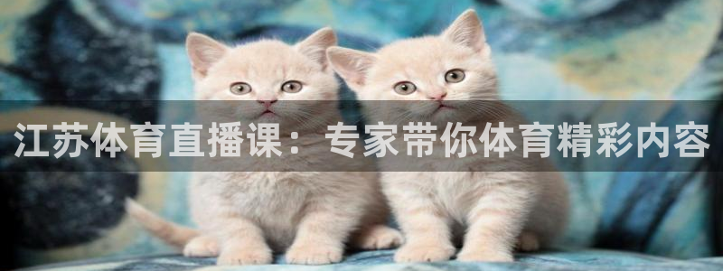 蓝鲸体育直播在线观看免费：江苏体育直播课：专家带你体育精彩内容